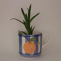 a cylindric cup with a handle facing right a blue and white striped cup painted with an orange illustration a cup used as a plant pot 
                            in studio