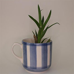 a cylindric cup with a handle facing left a blue and white striped cup a cup used as a plant pot 
                            in studio