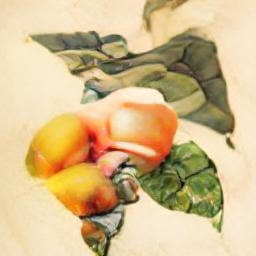 vintage orange illustration fruit
