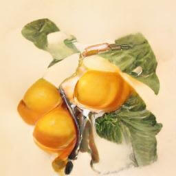 vintage orange illustration fruit