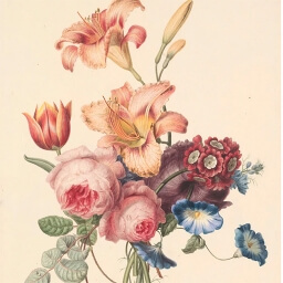 Vintage flower illustration retro